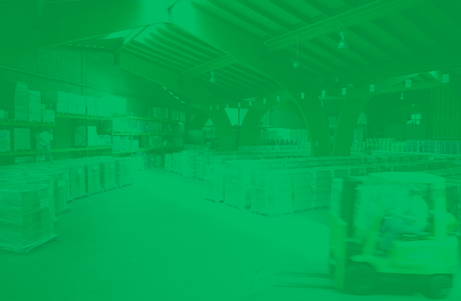 Frontier Pest Control Chandigarh, Ludhiana, Hisar